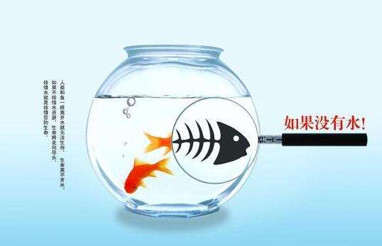 QQ截圖20171211143516.jpg QQ截圖20171211143516.jpg